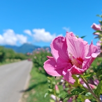 涼しい夏の一日