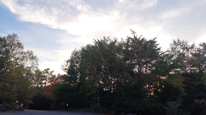 260924171114711.JPG