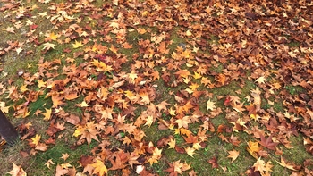 261020130706647.JPG