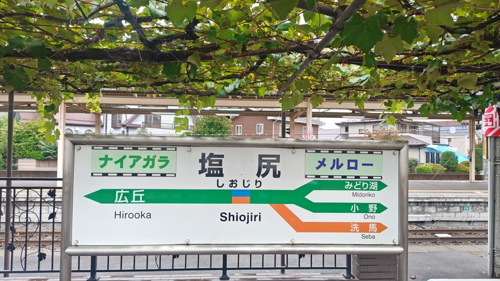 260926124318269.JPG
