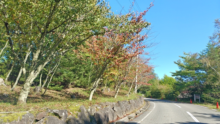 260930140303701.JPG