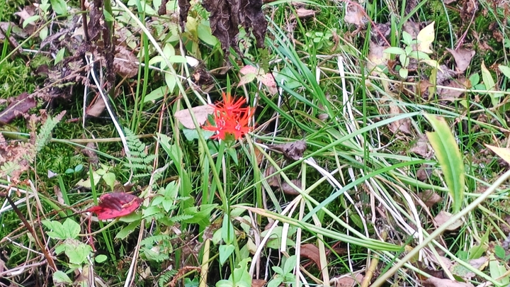 261004130530670.JPG