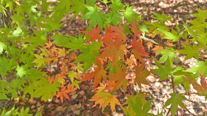 261012133047320.JPG