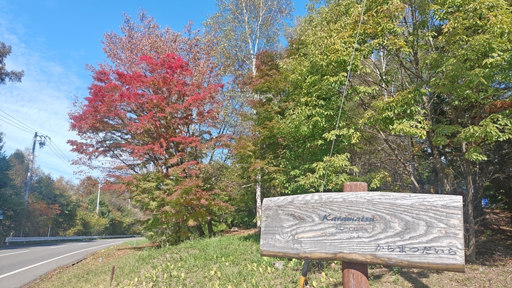 261012133334788.JPG