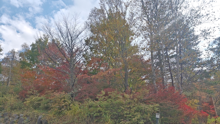 261020125947358.JPG