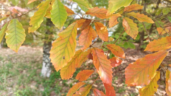 261020130310646.JPG