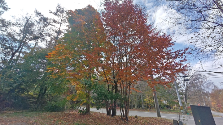 261020130351409.JPG