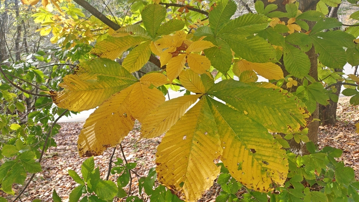 261020130420279.JPG