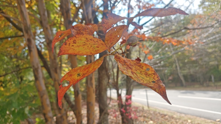 261020130447473.JPG
