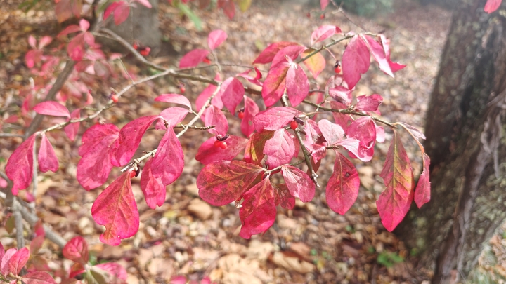 261020130508857.JPG