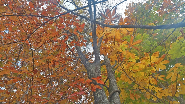 261020130528568.JPG