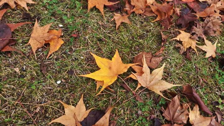 261020130633166.JPG