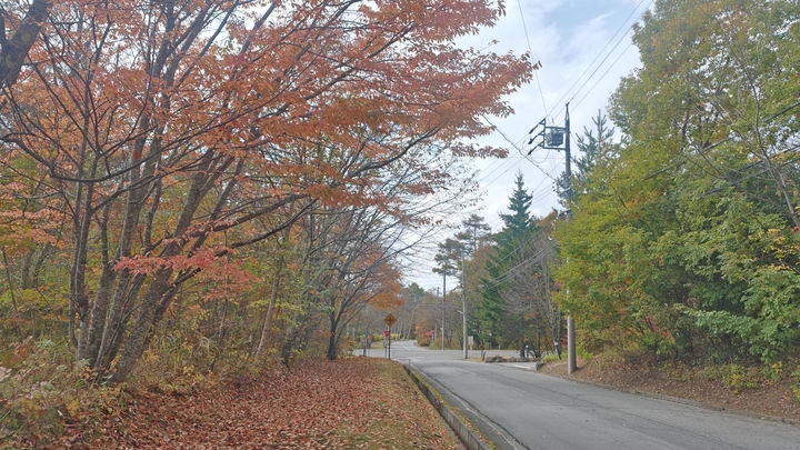 261020131030157.JPG