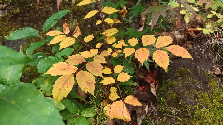 261020131316103.JPG