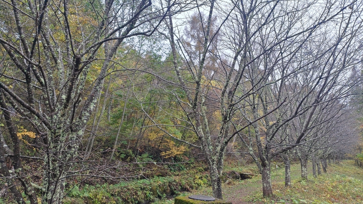 261022101406259.JPG
