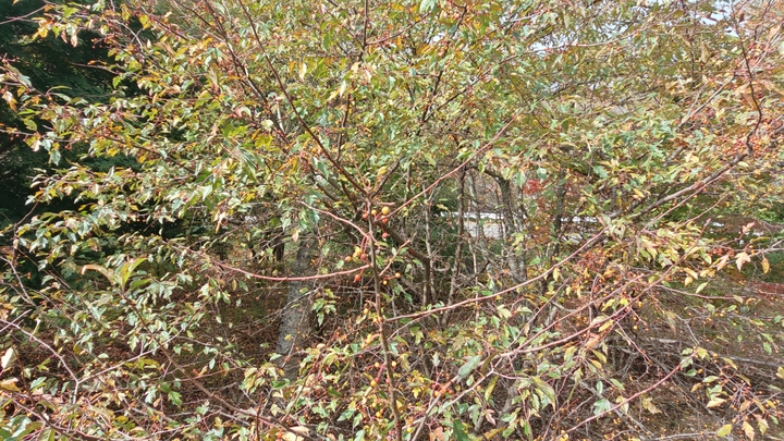 261022104453608.JPG