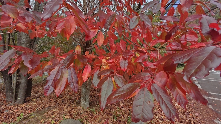 261022104615721.JPG