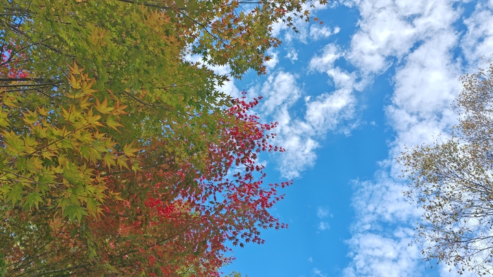 26102214000002.jpg
