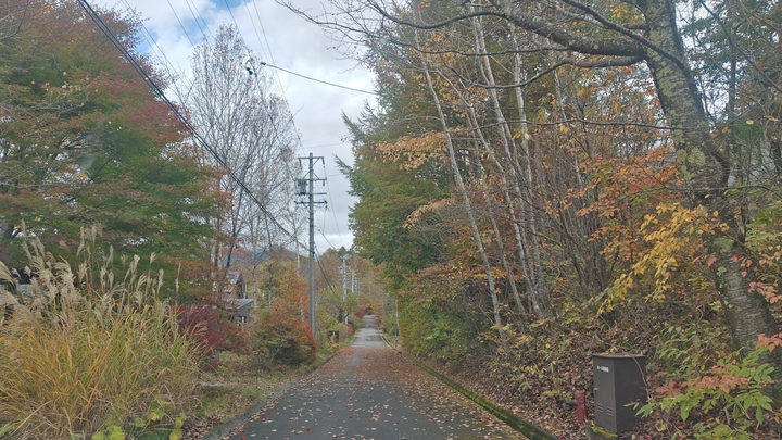 261025100444050.JPG