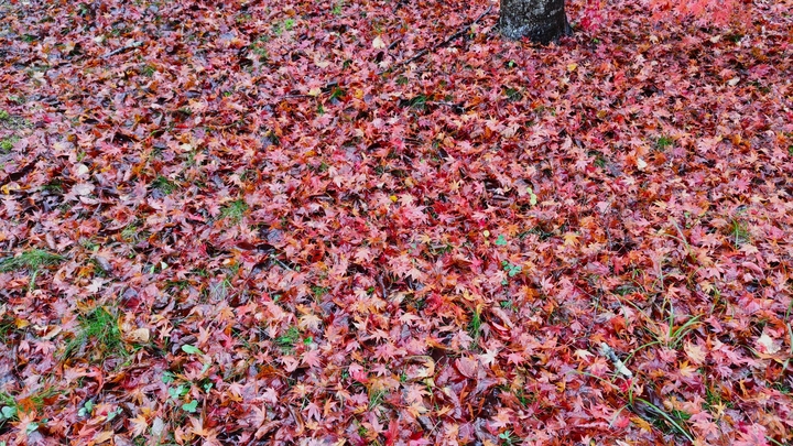 261026130423255.JPG