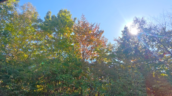 261009134719907.JPG