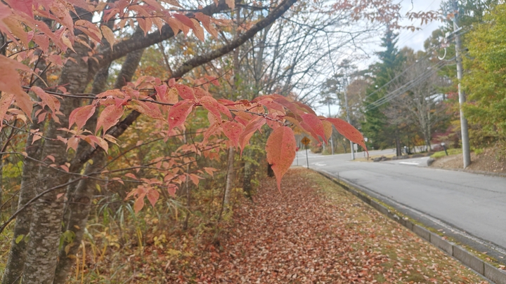 261020130956119.JPG
