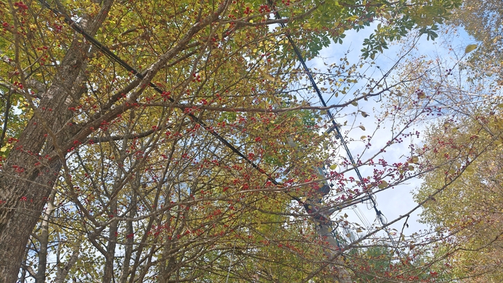 261020131105904.JPG