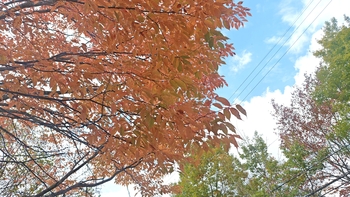 261020131011107.JPG