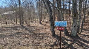 R-38