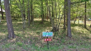 I-4