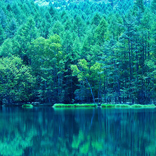 蓼科エリア イメージ