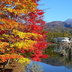 蓼科エリア イメージ