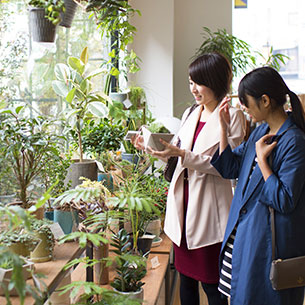 蓼科エリア イメージ