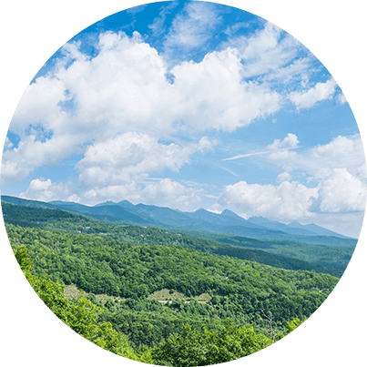 蓼科エリア イメージ