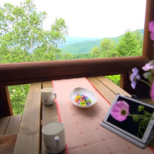 蓼科高原別荘地 イメージ