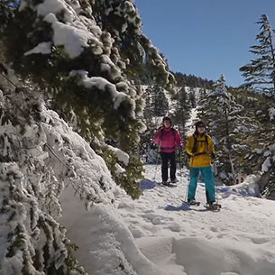 蓼科高原別荘地 イメージ