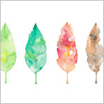 蓼科の春夏秋冬 イメージ