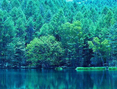 蓼科エリア イメージ