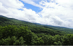 温泉施設 イメージ