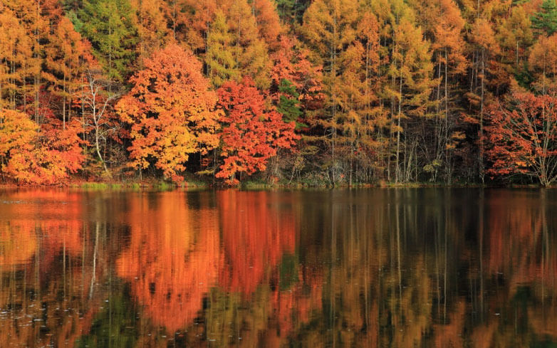 秋の蓼科 イメージ