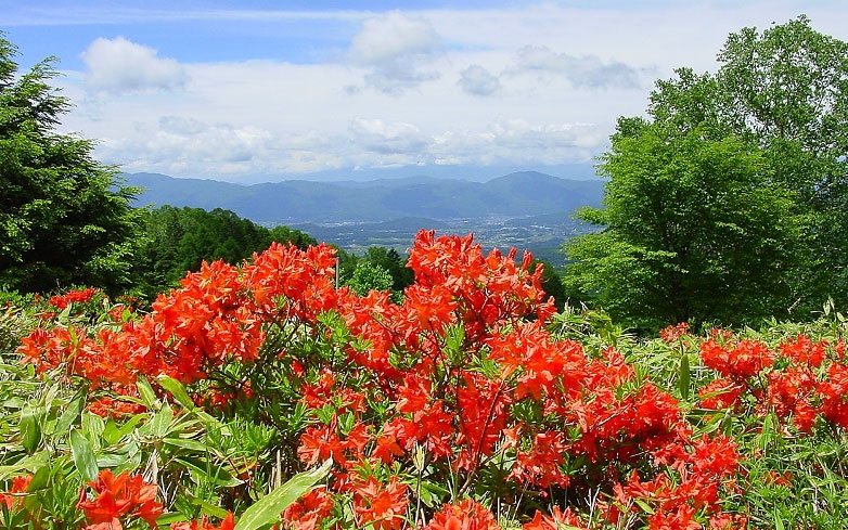 春の蓼科 イメージ