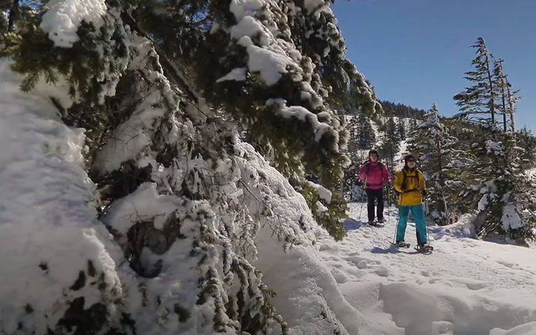 冬の蓼科 イメージ