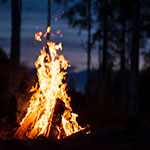 蓼科の森を楽しむ イメージ