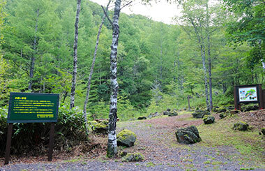 プライベートトレッキングコース イメージ
