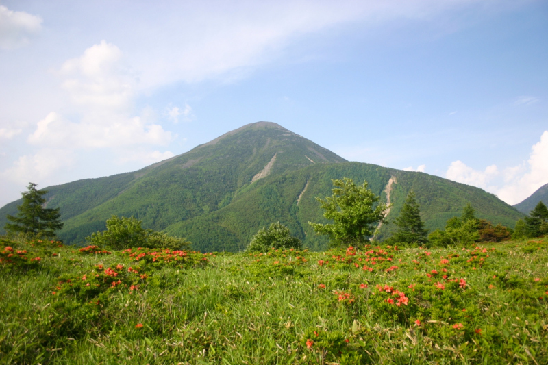 八子ヶ峰 イメージ