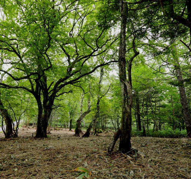 土地を買う イメージ