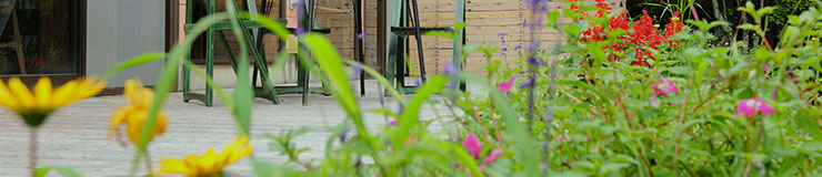 施設・イベントの案内