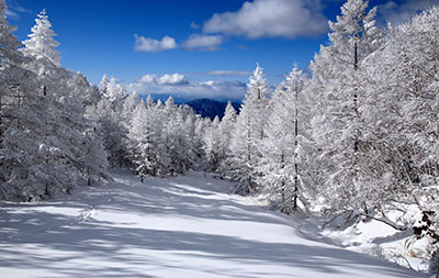銀世界 イメージ