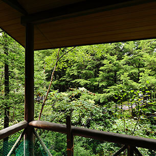 蓼科高原別荘地 イメージ