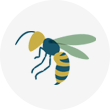 蜂 イメージ